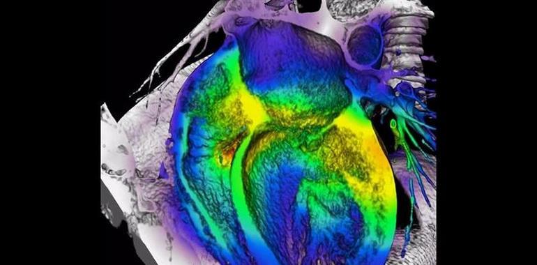 Premio para un trabajo de investigadores de UniOvi que relaciona biomarcadores con la práctica deportiva