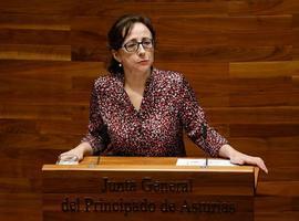  XsP ve "vergonzoso" que el Principado achacase la contaminación a un frente subsahariano