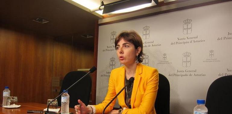 El PP encuentra los presupuestos regionales "sangrantes" para los asturianos