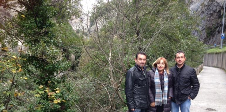 La alcaldesa de Teverga pide un "frente común" para arreglar la Senda del Oso