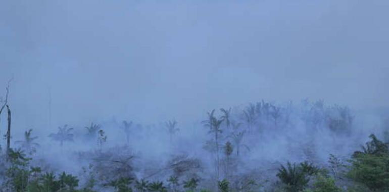 COP21 – Un incendio en la Amazonia arrasa la selva que habitan indígenas aislados