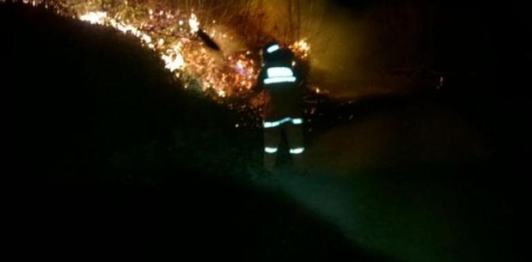  Bomberos, guardas y militares luchan contra el fuego que devora Asturias