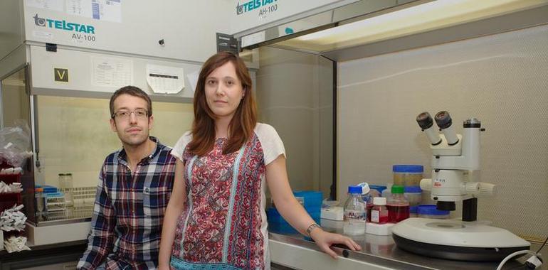 El equipo Otín identifica un nuevo supresor tumoral, la proteína AIRAPL