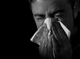 La epidemia gripal aumentará en Asturias en las próximas semanas