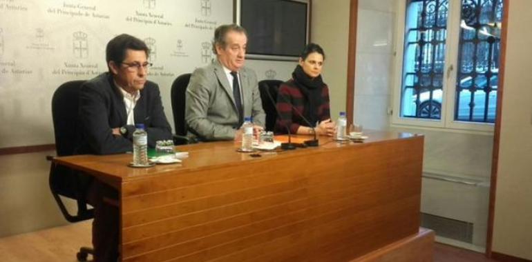 Cs pide al Principado que apueste "de forma decidida" por el salario social