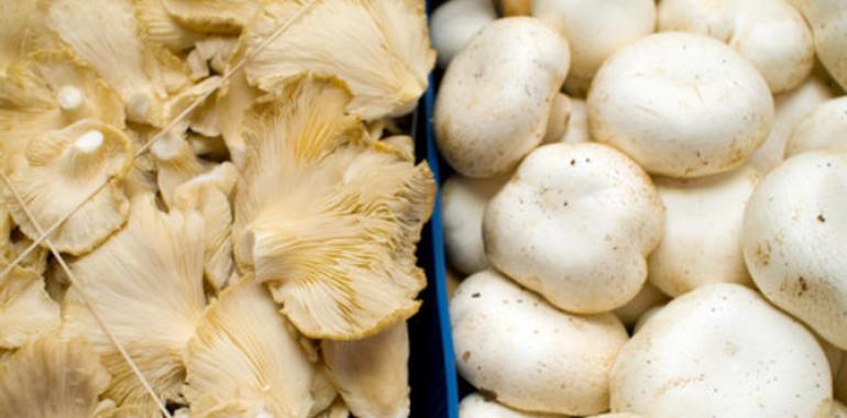 Setas comestibles:Toma antiinflamatorios con ajo y perejil