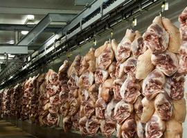 La producción cárnica en macelos cae entre un 24 y un 43€ en Asturias