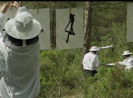 250.000 abejas firman para evitar su extinción
