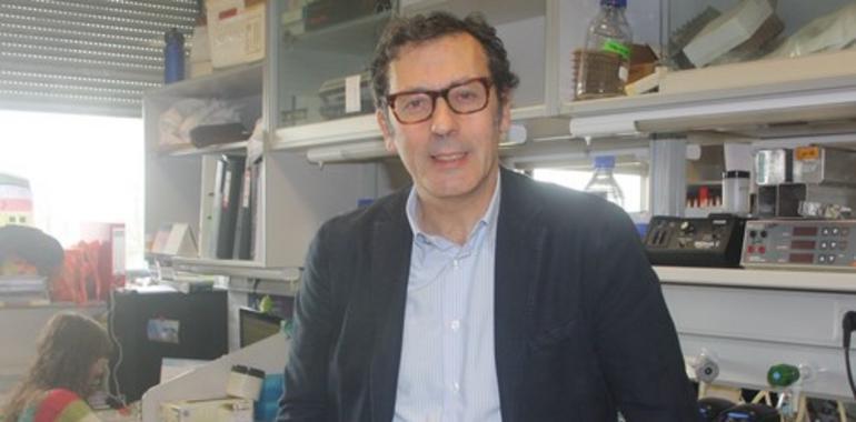 La inmunoterapia logra que los pacientes de cáncer de pulmón vivan más y mejor