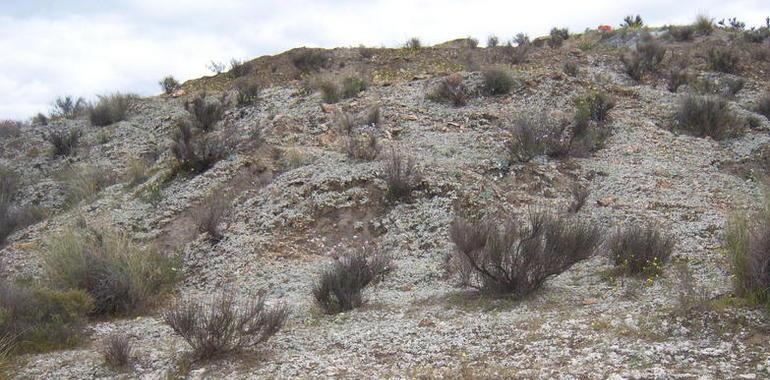 Las biocostras mejoran el equilibrio del agua en los ecosistemas semiáridos