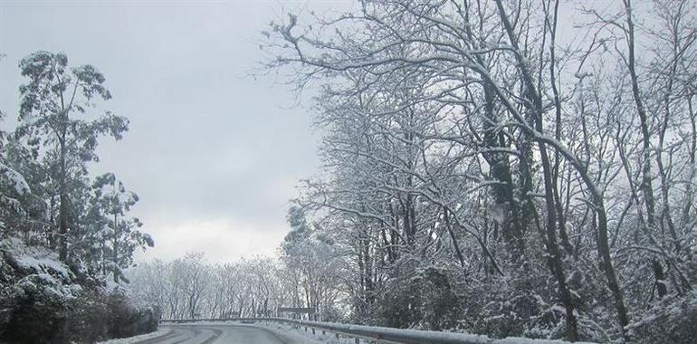 Viento, lluvia, frío y nieve para el fin de semana en Asturias