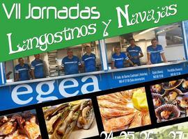 Jornadas de langostinos y navajas en el muelle de Castropol