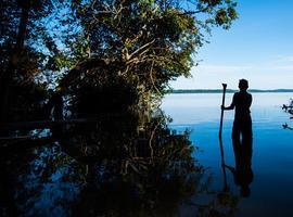 Greenpeace pide a Iberdrola, Mapfre y Siemens que dejen de destruir el Amazonas