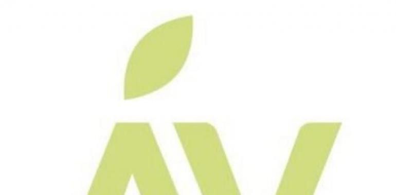 ASTUR VALLEY, la Asociación Asturiana de Startups, se presenta en Gijón