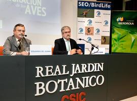 Un proyecto español con las últimas tecnologías al estudio de los movimientos migratorios de las aves