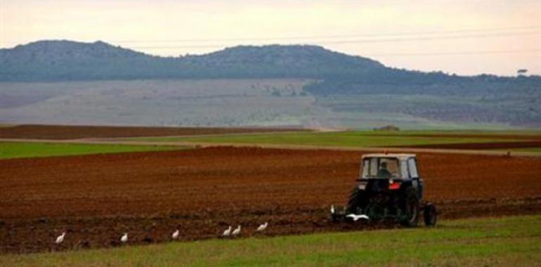 Aguilar entrega los "Premios Alimentos de España 2010"