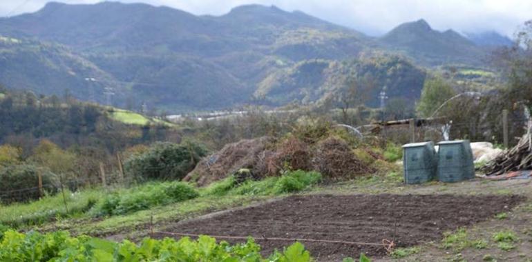  230 candidatos a horticultores urbanitas en los huertos sostenibles de Oviedo