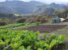  230 candidatos a horticultores urbanitas en los huertos sostenibles de Oviedo