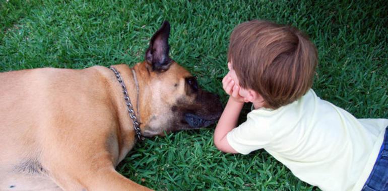 Perros y humanos comparten también la lucha contra el cáncer