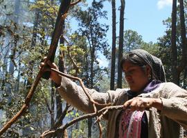 Proyectos con perspectiva de género en Volcán Tacaná