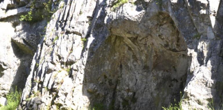 Primera evidencia de canibalismo en neandertales del norte de Europa