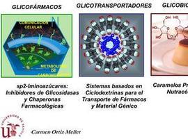 Carbohidratos para prevenir y curar enfermedades