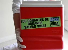 España, de nuevo líder mundial en trasplante de órganos