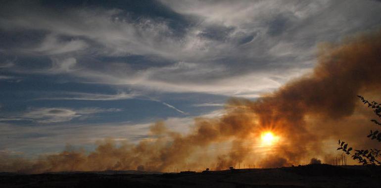 Logran estabilizar el incendio de 2000 Ha entre Tafalla y Pueyo
