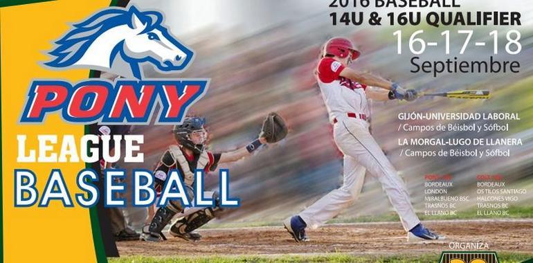 Llano béisbol realiza las pony league en Asturias este fin de semana