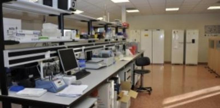 Revelan el poder antiinflamatorio ocular de células madre de cuello uterino