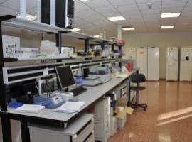 Revelan el poder antiinflamatorio ocular de células madre de cuello uterino