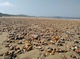 Ecologistas de Asturias pide investigación sobre el espectacular aumento de piedras en Xagó