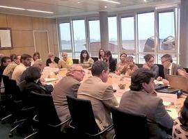 El NO2, principal peligro ambiental para las enfermedades respiratorias en Asturias