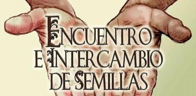 Intercambio de semillas en la Plaza del Paraguas deOviedo