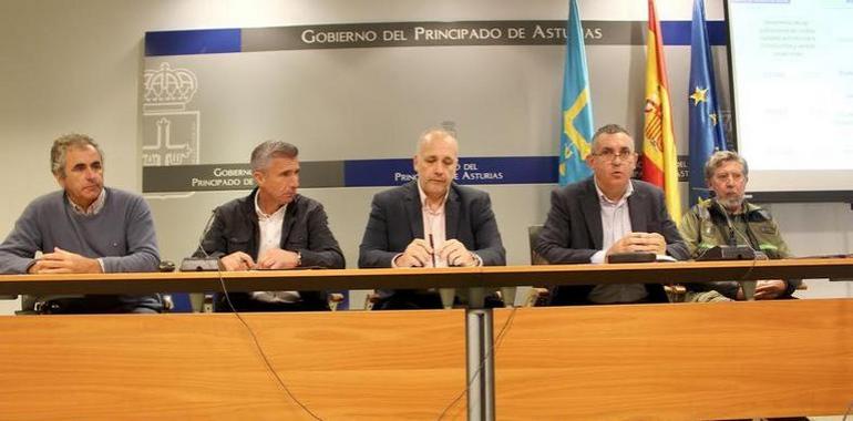Principado y ayuntamientos declaran la guerra al jabalí 