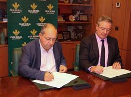 Caja Rural de Asturias facilitará la actividad de los ingenieros agrónomos asturianos