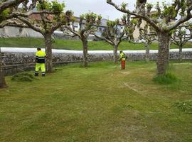 Noviembre trae tres ferias ganaderas a Llanes