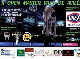 177 nadadores/as de 15 clubes disputarán el II Open Master Villa de Avilés