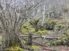 Una imagen de Los Arrudos gana el Turismo de Asturias en Instagram