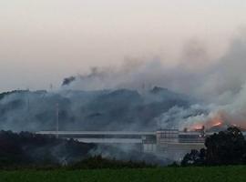 Asturias debería acotar al pastoreo las zonas incendiadas, según los expertos