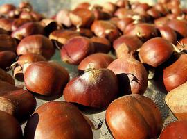 Crema de castañas para tus menús de otoño