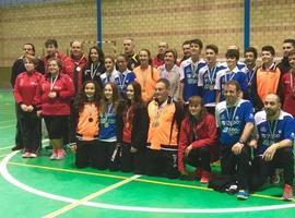 Nutrido medallero en el IX Torneo de Bádminton de Riosa
