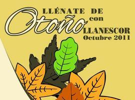 La Asociación de Comerciantes de Llanes organiza la campaña “Llénate de Otoño