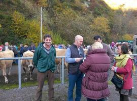 El PP pide una fiscalidad para el campo asturiano como la gallega
