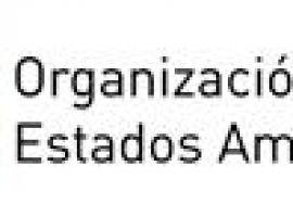 Becas de la OEA (CIDH) para jóvenes abogados