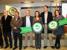La marca Vacuno Mayor Asturiano refuerza la producción IGP en el mercado 
