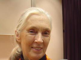 Rosa Aguilar y Jane Goodall, en apoyo de un Bosque Sostenible