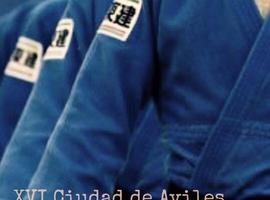 300 judokas en el Torneo de Reyes Ciudad de Avilés de Judo