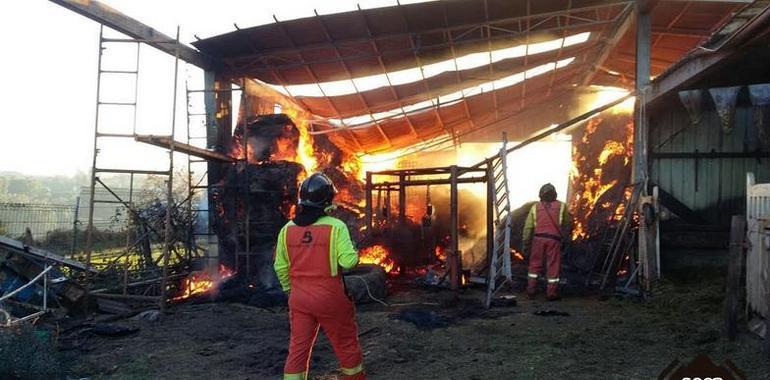 Rescatan 18 vacas de un incendio en Aransés, Castrillón