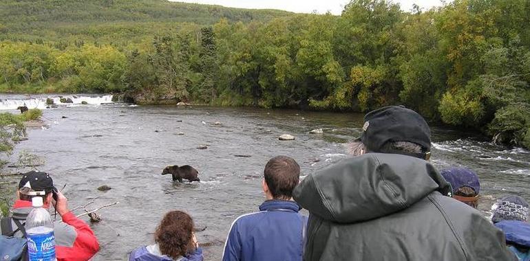 Expertos piden controlar el turismo osero para no dañar la especie